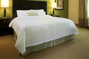 Hampton Inn Suites Orlando bedroom