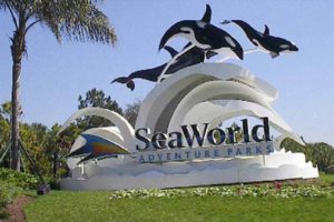 SeaWorld