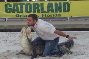 Gatorland
